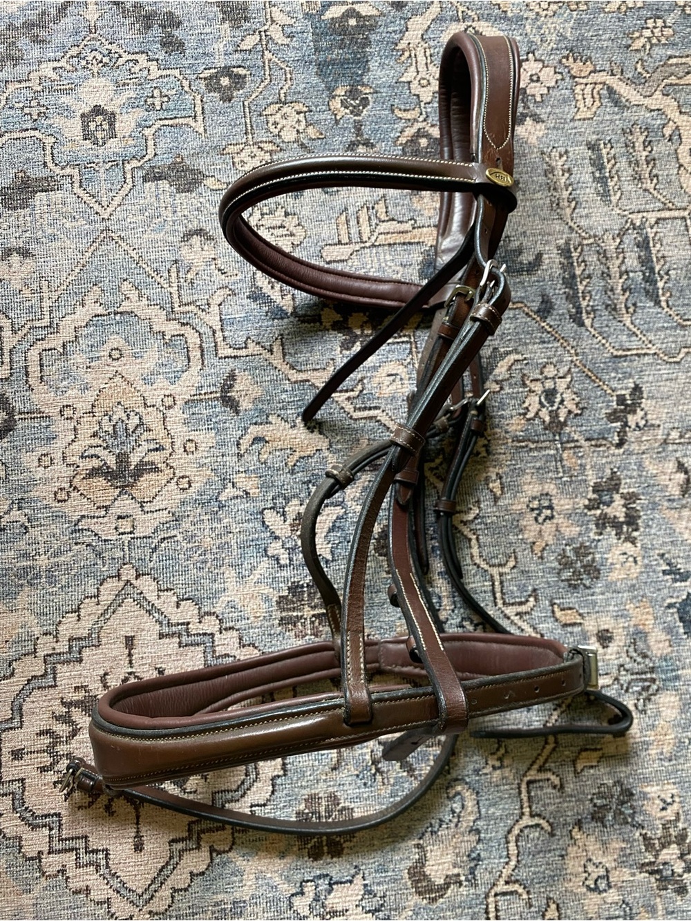 HFI X jump in brown bridle full horse
